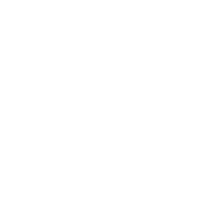 An icon depicting a globe behind two stacked servers, symbolizing global internet or data connectivity.